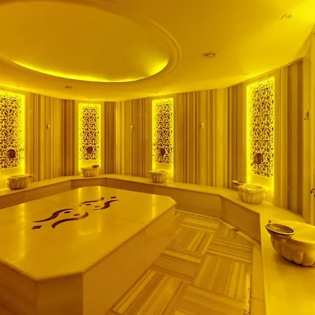 Hotel King Ataturk Airport 4*