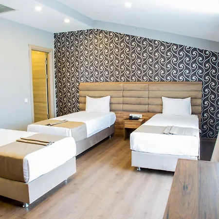Hotel King Ataturk Airport 3*
