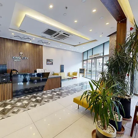 King Ataturk Airport Hotel Istanbulská provincie