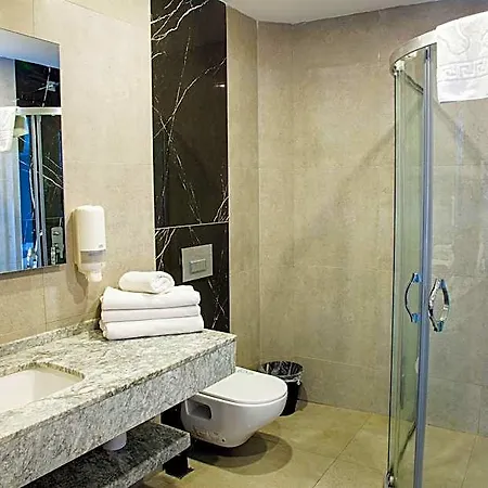 King Ataturk Airport מלון 4*