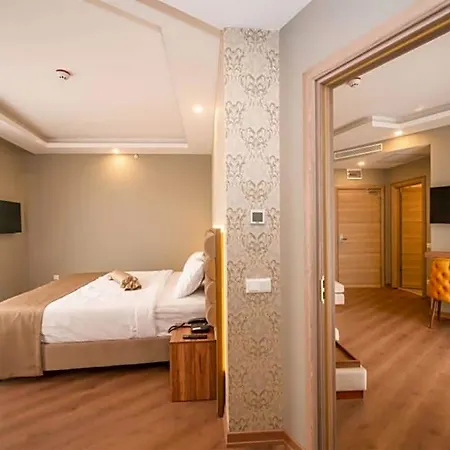 מלון King Ataturk Airport 4*