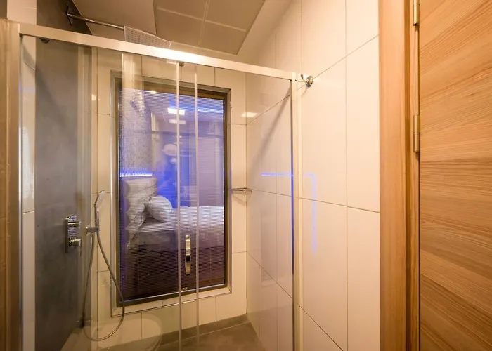 Отель King Ataturk Airport