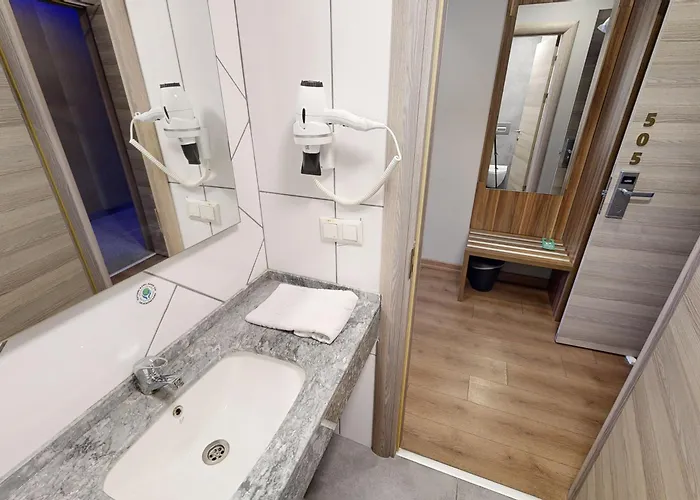 Отель King Ataturk Airport