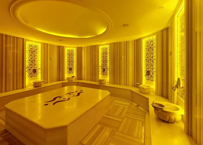 Отель King Ataturk Airport 4*