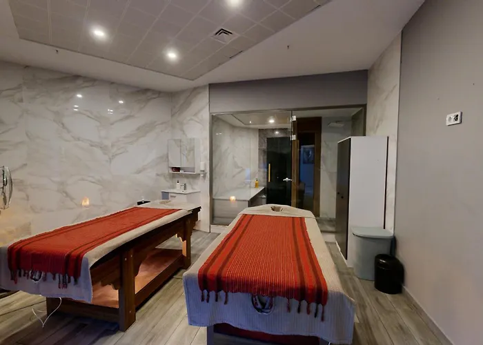 Отель King Ataturk Airport 4*