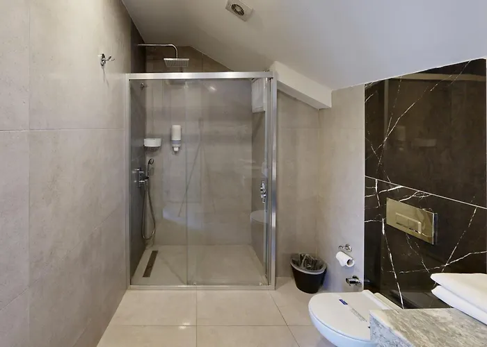 Отель King Ataturk Airport