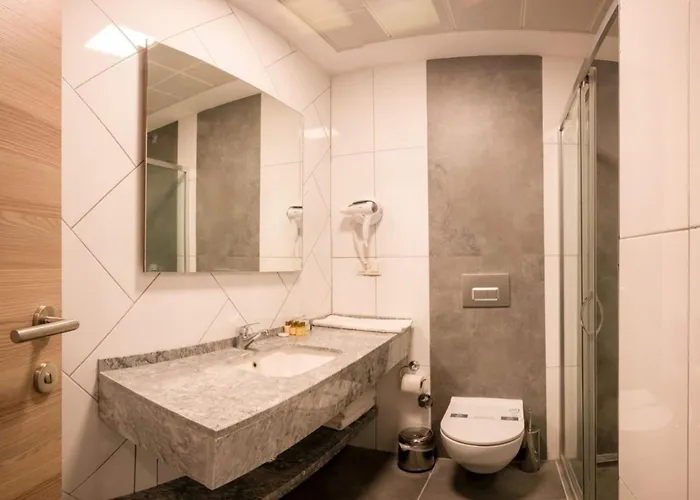 King Ataturk Airport Отель 4*